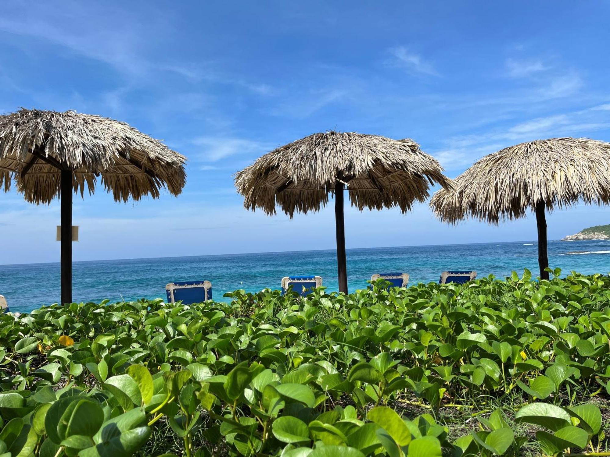 Manta Raya Hotel - Right On The Beach Cuatunalco エクステリア 写真